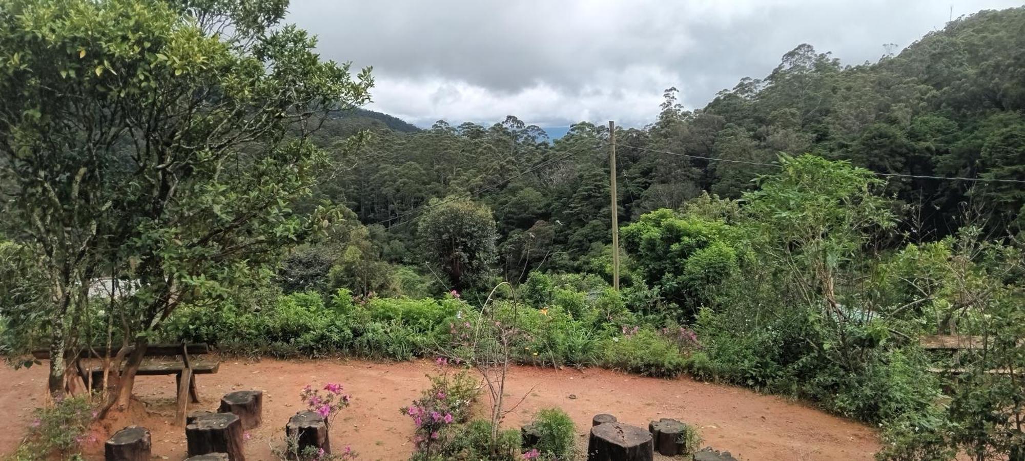 Forest Cyniciam Homestay Ohiya Room photo