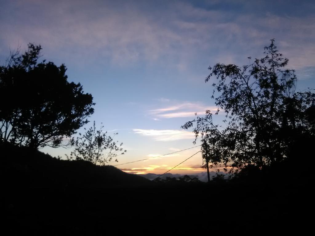 Forest Cyniciam Homestay Ohiya Exterior photo