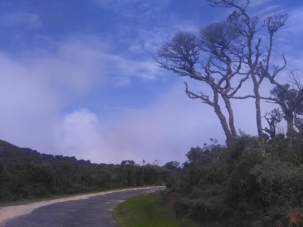 Forest Cyniciam Homestay Ohiya Exterior photo